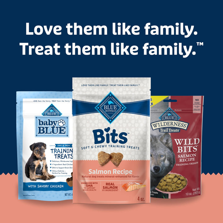 Blue Buffalo Bits Soft Dog Treats for Training, Made with Natural Ingredients & Enhanced with DHA, Savory Salmon Recipe, 4-oz. Bag 4 Ounce (Pack of 1)