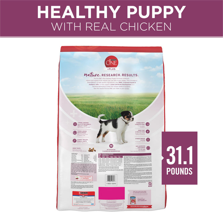 Purina ONE Plus Healthy Puppy Formula High Protein Natural Dry Puppy Food with added vitamins, minerals and nutrients - 31.1 lb. Bag Chicken 31.1 Pound (Pack of 1)