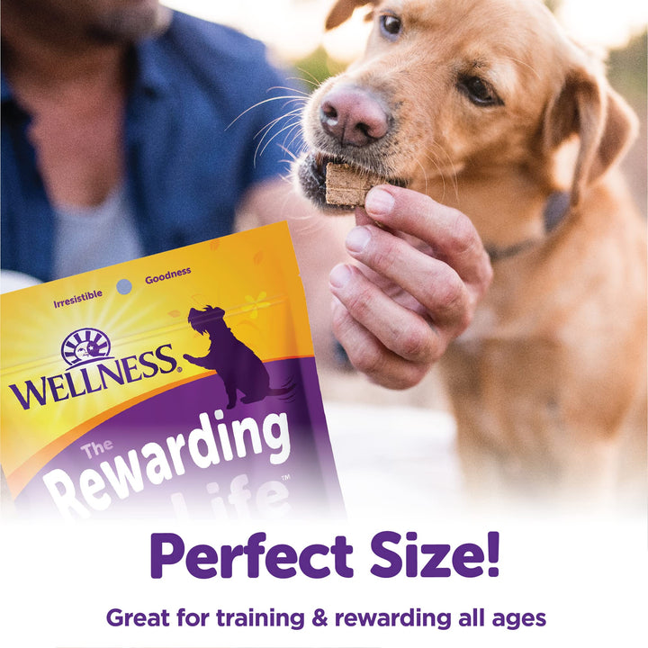 Wellness Rewarding Life Grain-Free Soft Dog Treats, Made in USA with Healthy Ingredients, Ideal for Training (Lamb & Salmon, 6-Ounce Bag) Lamb & Salmon 6 Ounce (Pack of 1)