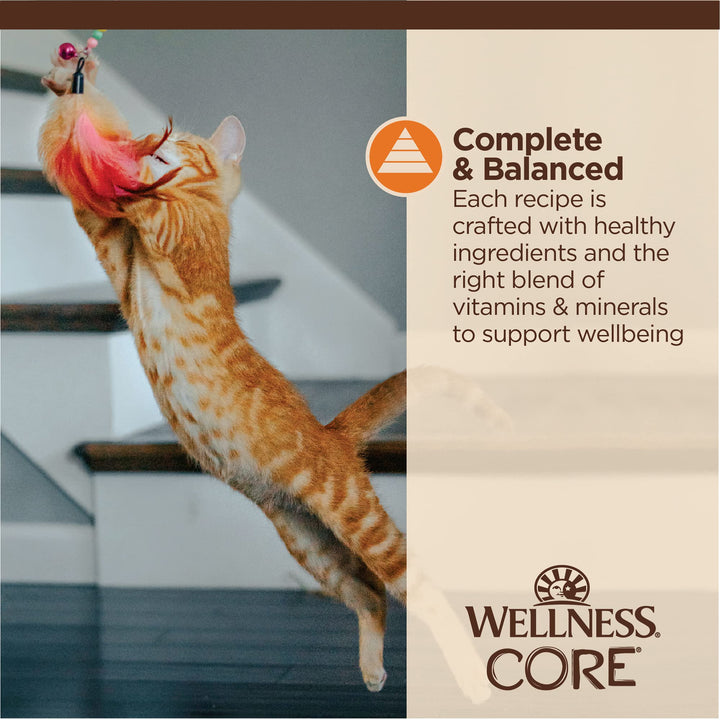 Wellness CORE Tiny Tasters Wet Cat Food, Complete & Balanced Natural Pet Food, Made with Real Meat, 1.75-Ounce Pouch, 12 Pack (Adult Cat, Minced Chicken in Gravy) 1.75 Ounce (Pack of 12)