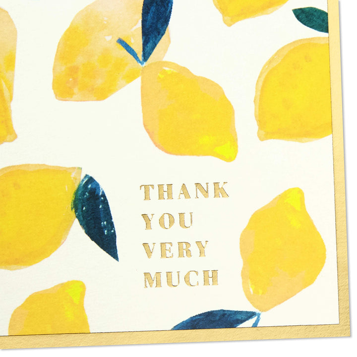 Hallmark Boxed Thank You and Blank Cards Assortment (Four Assorted Tropical Designs, 40 Note Cards and Envelopes)