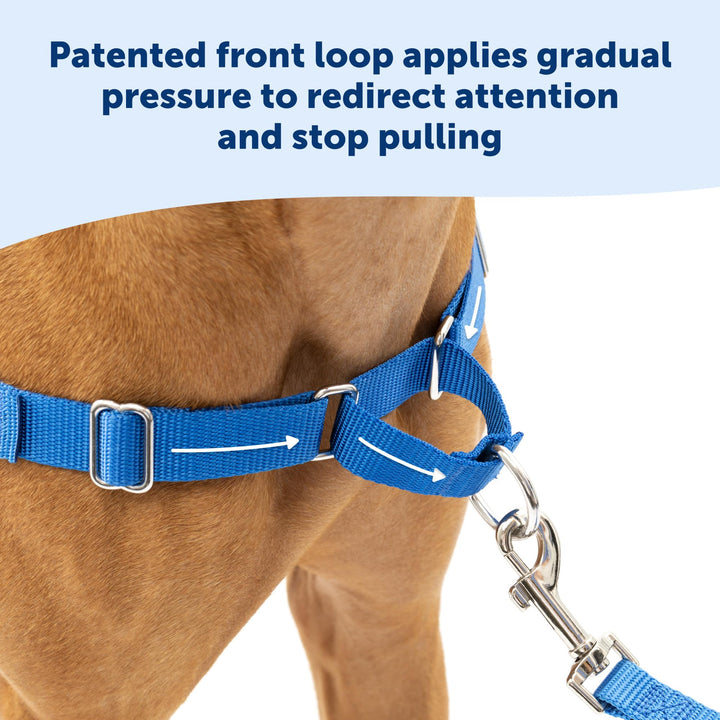 PetSafe Easy Walk Dog Harness - No Pull Dog Harness – Small, Teal/Gray