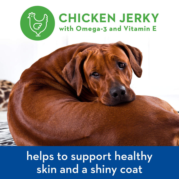 Chicken Jerky Healthy All Natural Dog Treats Human Grade For Skin And Coat 12 oz Chicken Jerky Skin + Coat 12 Ounce (Pack of 1)