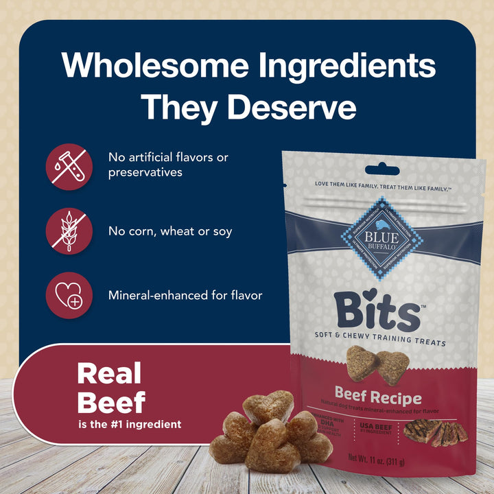 Blue Buffalo Bits Soft Dog Treats for Training, Made with Natural Ingredients & Enhanced with DHA, Savory Salmon Recipe, 4-oz. Bag 4 Ounce (Pack of 1)