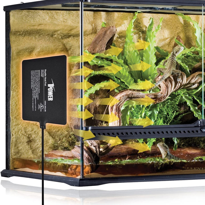 iPower Reptile Heat Pad Under Tank Terrarium Warmer Heating Mat for Turtle, Lizard, Frog, Snake, Reptile, and Other Small Animals, 6X8 Inch, 8W, 2 Pack 6 X 8 Inch