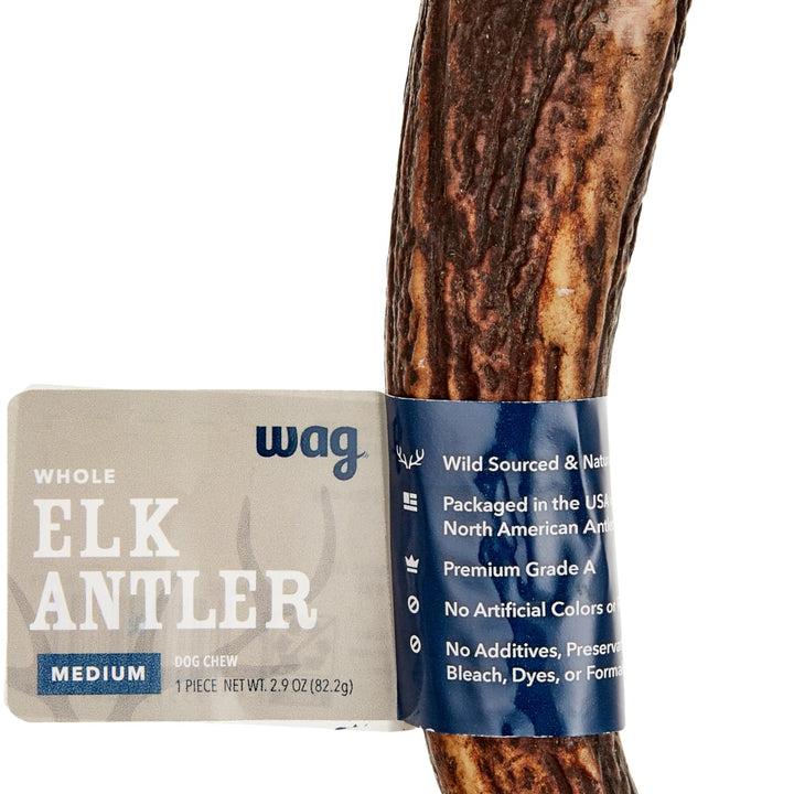 Wag Dog Elk Antler Chew, Naturally Shed, Whole, Medium 6-7.5 inches (Best for Dogs 15-30 lbs), 2.90 Ounce (Pack of 1) 2.9 Ounce (Pack of 1)