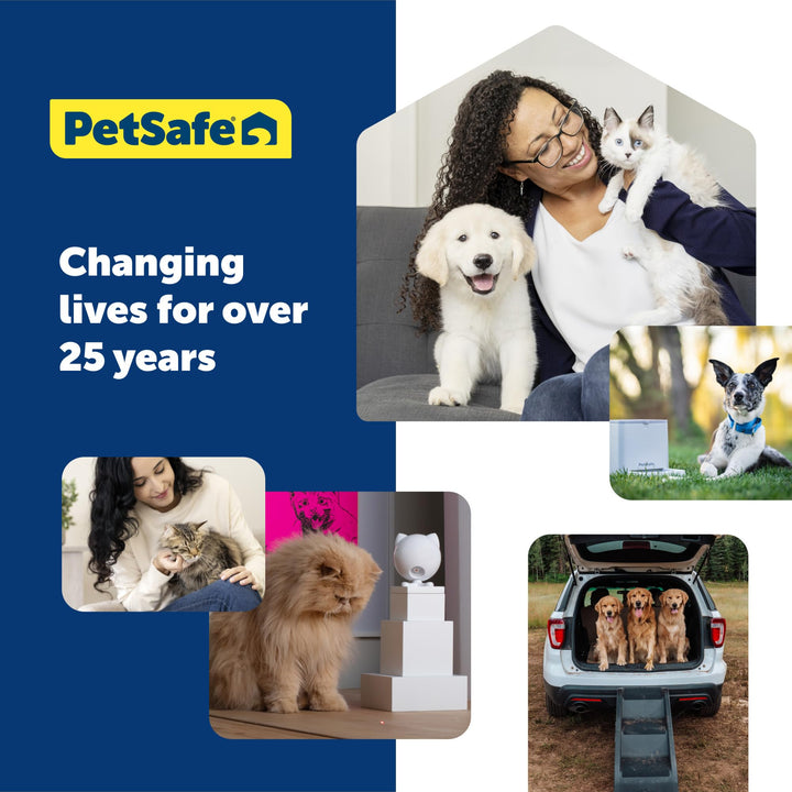 PetSafe Replacement Pump for Pet Drinking Fountains, Compatible with PetSafe Drinkwell Platinum and Platinum LED Dog and Cat Water Dispensers - PAC00-13204,Black