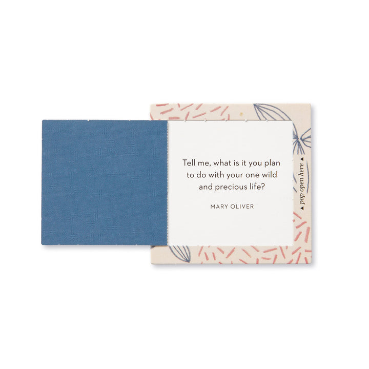 Compendium ThoughtFulls Pop-Open Cards — Inspire Her — 30 Pop-Open Cards, Each with a Different Inspiring Message Inside