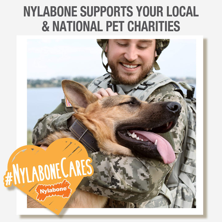 Nylabone PRO Action Dental Power Chew Durable Dog Toy Large - Up to 50 lbs. Large up to 50 lbs.