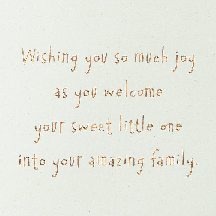 American Greetings New Baby Card (Your Amazing Family) Your Amazing Family