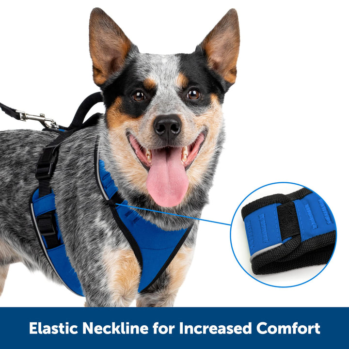 PetSafe EasySport Harness Padded Straps Fully Adjustable Elastic Neckline Best for Athletic Dogs Top Handle for Quick Control Large Teal