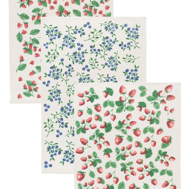 Now Designs Berry Patch Cotton Floursack Kitchen Dish Towels 20 x 30in, Set of 3, Red, Blue, Green, White