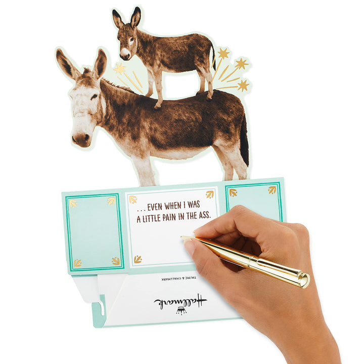 Hallmark Paper Wonder Shoebox Funny Pop Up Fathers Day Card or Birthday Card from Son or Daughter (Donkeys, Pain in The) Donkeys, Pain in the . . .