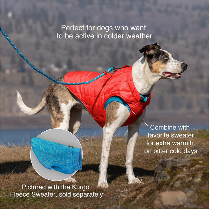 Kurgo Loft Dog Jacket, Reversible Dog Coat, Wear with Harness or Sweater, Water Resistant, Reflective, Winter Coat For Small Dogs (Lava Lamp, XS) Extra Small Lava Lamp