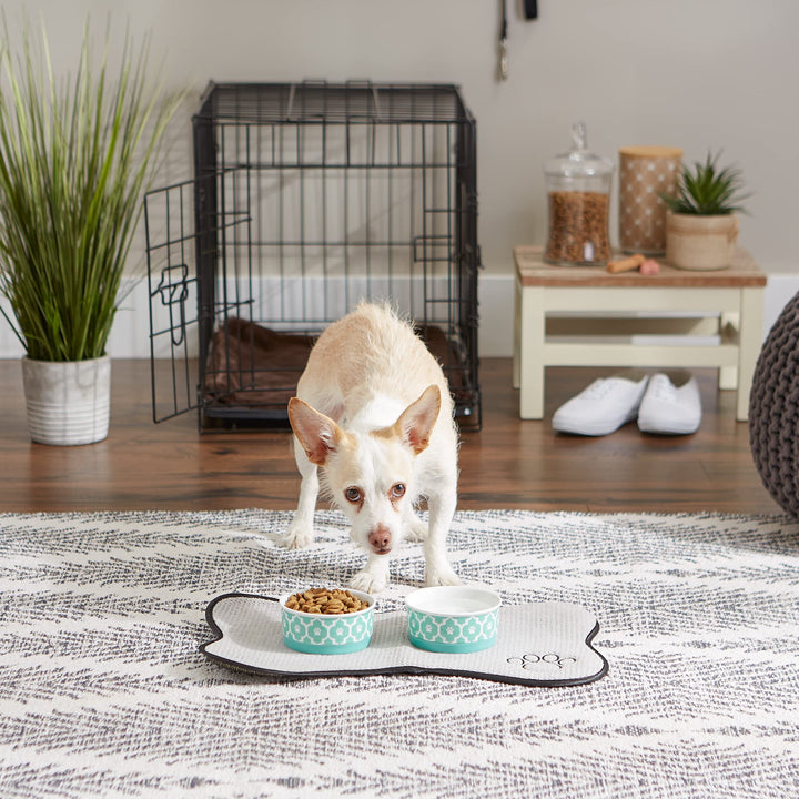 Bone Dry Lattice Pet Bowl, Removable Silicone Ring Creates Non-Slip Bottom for Secure Feeding & Less Mess, Microwave & Dishwasher Safe, Small Set, 4.25x2", Aqua, 2 Count Small Round (2)