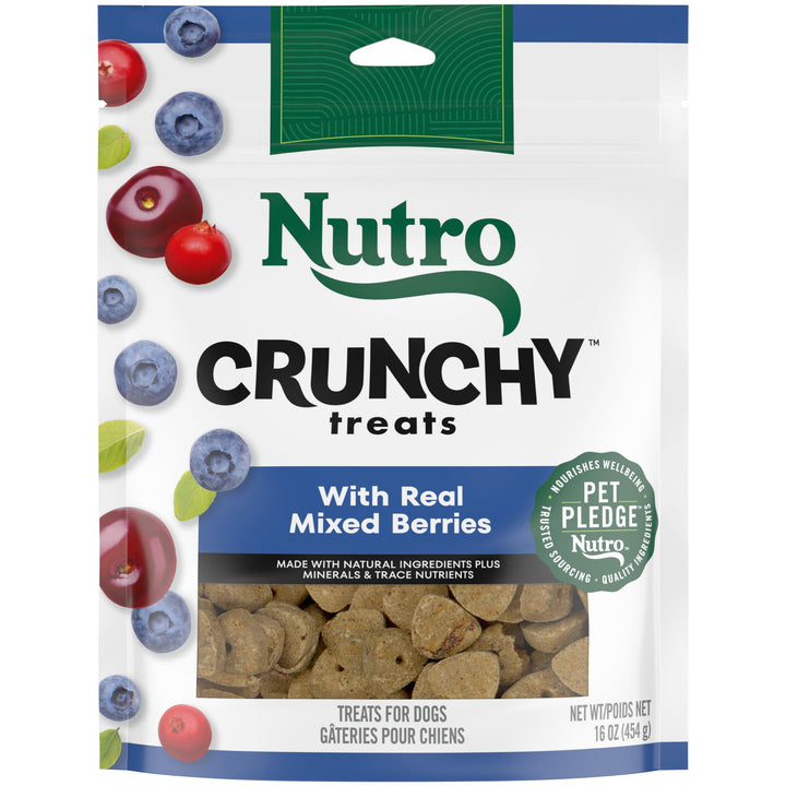 NUTRO Crunchy Dog Treats with Real Mixed Berries, 10 oz. Bag 10 Ounce (Pack of 1)