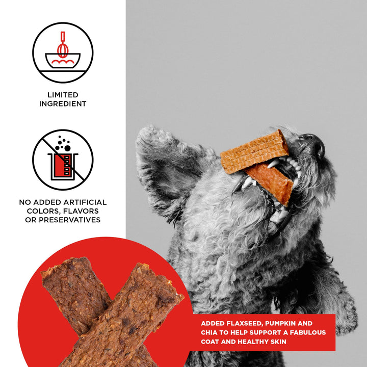 BIXBI Skin & Coat Support Beef Liver Jerky Dog Treats, 5 Oz - USA Made Grain Free Dog Treats - Antioxidant Rich To Support Shiny, Full Bodied Coats - High In Protein, Whole Food Nutrition, No Fillers