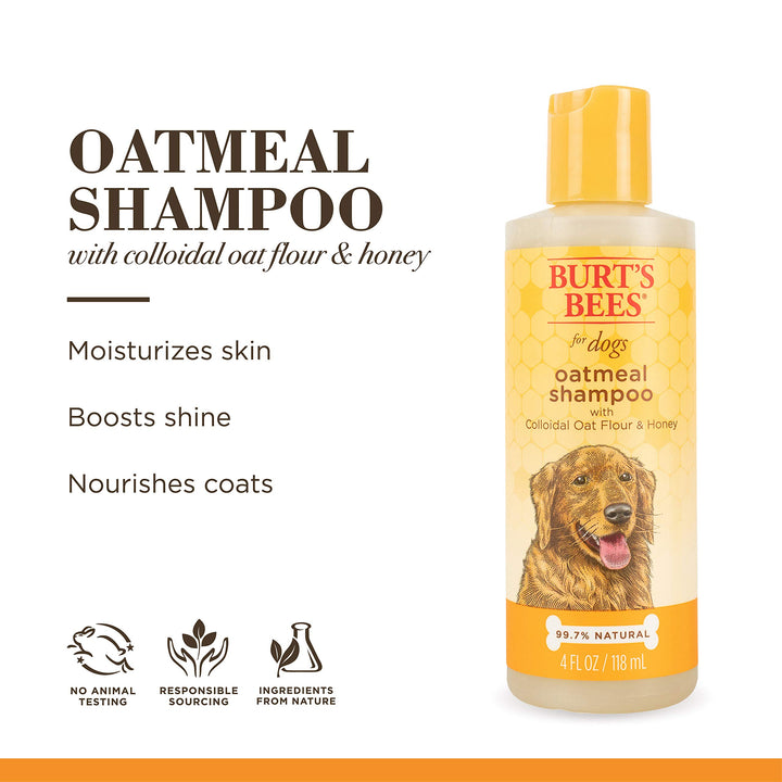 Burt's Bees for Pets Dogs Natural Oatmeal Shampoo with Colloidal Oat Flour and Honey| Oatmeal Dog Shampoo | Soothing and Cleansing Oatmeal Shampoo for Dogs | 4 Fl oz - 2 Pack 4 oz - 2 Pack