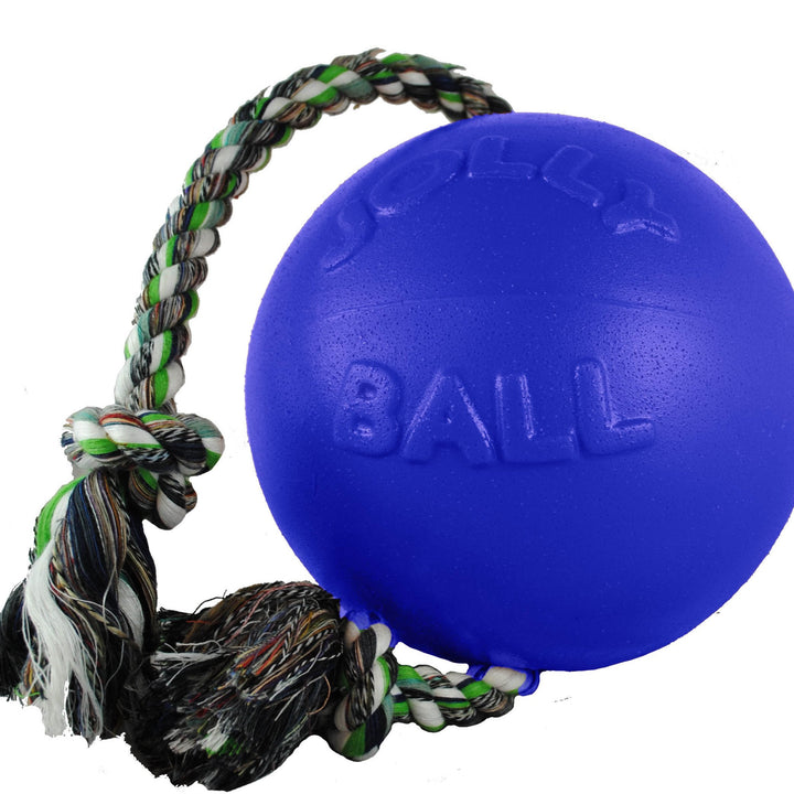 Jolly Pets Romp-n-Roll Rope and Ball Dog Toy, 6 Inches/Medium, Blue