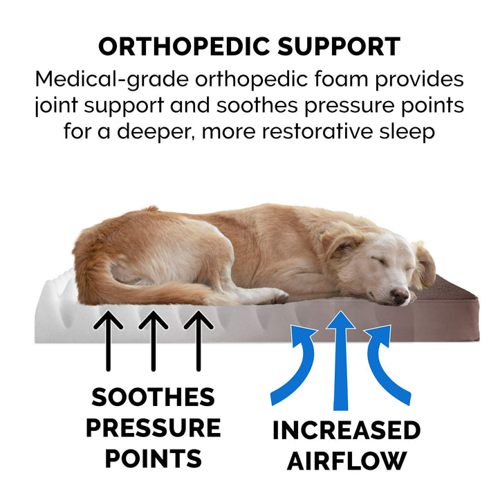 Furhaven Orthopedic Dog Bed for Small Dogs w/ Removable Washable Cover, For Dogs Up to 20 lbs - Terry & Suede Mattress - Espresso, Small