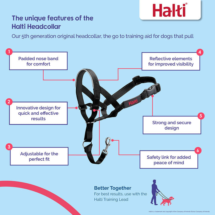 HALTI Headcollar - To Stop Your Dog Pulling on the Leash. Adjustable, Reflective and Lightweight, with Padded Nose Band. Dog Training Anti-Pull Collar for Large Dogs (Size 5, Black)