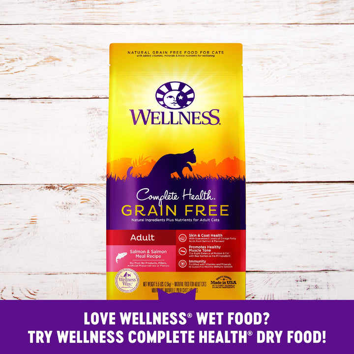 Wellness Complete Health Grain-Free Wet Canned Cat Food, Natural Ingredients, Made with Real Meat, All Breeds, Smooth Pate (Turkey & Salmon, 12.5-Ounce Can, Pack of 12) Turkey 12.5 Ounce (Pack of 12)