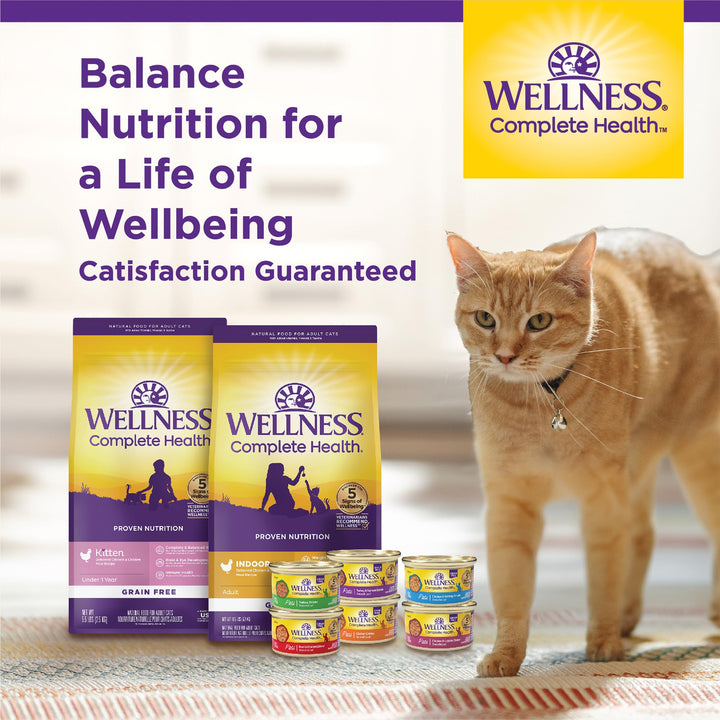 Wellness Complete Health Grain-Free Wet Canned Cat Food, Natural Ingredients, Made with Real Meat, All Breeds, Smooth Pate (Turkey & Salmon, 12.5-Ounce Can, Pack of 12) Turkey 12.5 Ounce (Pack of 12)