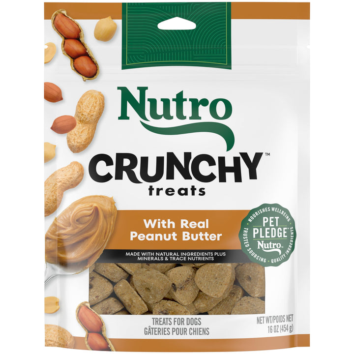 NUTRO Crunchy Dog Treats with Real Mixed Berries, 10 oz. Bag 10 Ounce (Pack of 1)