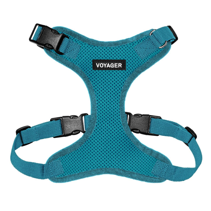 Voyager Step-in Lock Pet Harness - All Weather Mesh, Adjustable Step in Harness for Cats and Dogs by Best Pet Supplies - Turquoise, XS Harness (Turquoise) XS (Chest: 13 - 16")