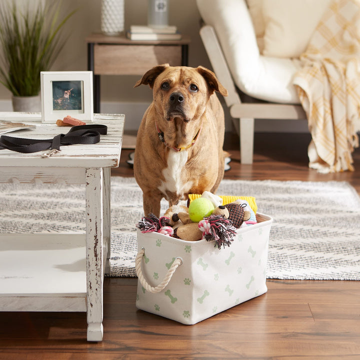 Bone Dry Pet Storage Collection Paw and Bone Print, Small Rectangle, Mint Small Rectangle, 14x8x9"