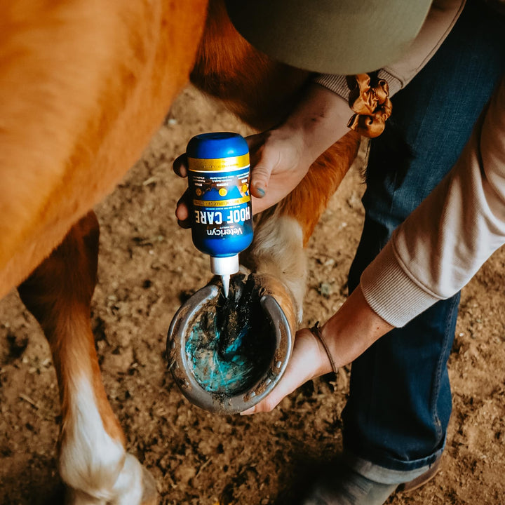 Vetericyn Equine Hoof Care for Sole and Frog Damage Caused by Thrush, White Line Separation, and Seedy Toe – 8 Ounces