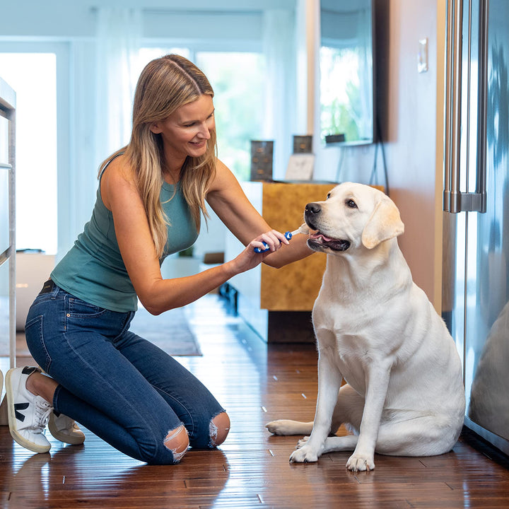 Dental Fresh Enzymatic Gel Dog Tooth Brushing Kit, Includes Triflex Toothbrush – Dog Toothbrush and Toothpaste for Dog Teeth Cleaning