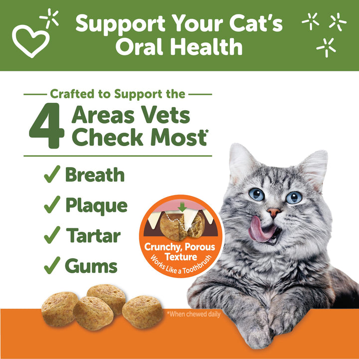 Whimzees Wellness Natural Cat Dental Treats, Chicken & Salmon Flavor, 2 Ounce 2 Ounce (Pack of 1)