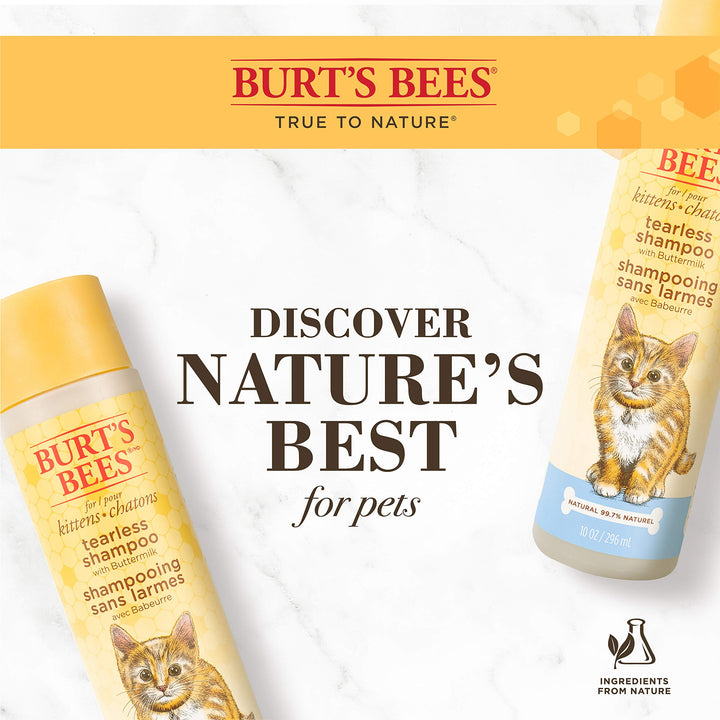 Burt's Bees for Pets Kitten Natural Tearless Shampoo with Buttermilk | Cat Shampoo for All Cats & Kittens | Cruelty Free, Sulfate & Paraben Free, pH Balanced for Dogs - Made in USA, 10 oz - 2 Pack