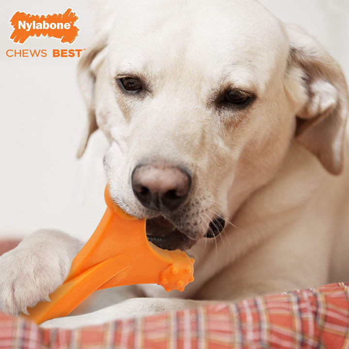 Nylabone Dog Toy Power Chew Dog Toy for Aggressive Chewers - Axis Bone Dog Toy - Bacon X-Large/Souper (1 Count) X-Large 50+ lbs.