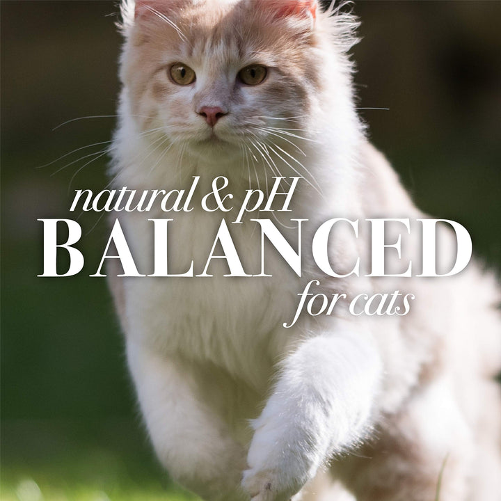 Burt's Bees for Pets Cat Waterless Shampoo with Apple & Honey | Dry Cat Shampoo Cat Waterless Shampoo Spray | Cruelty Free, Sulfate & Paraben Free, pH Balanced for Cats - Made in USA, 10 Oz- 2 Pack 10 Fl Oz (Pack of 2)