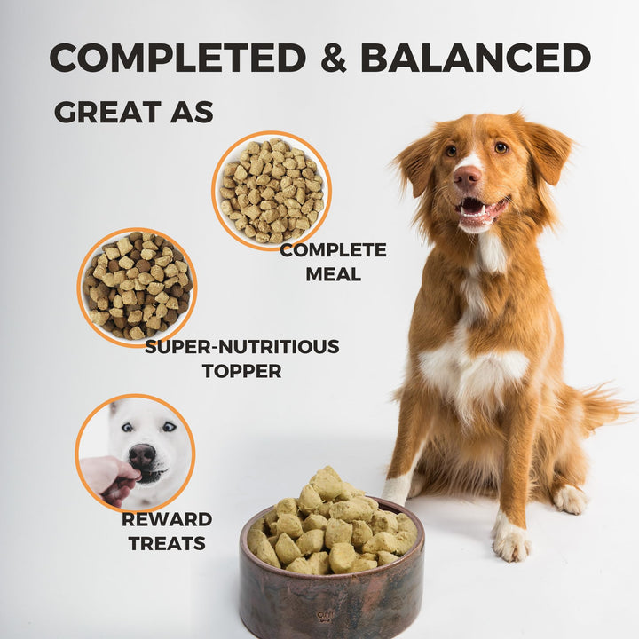 Freeze Dried Raw Dog Food Duck and Chicken Recipe 8 Ounce, UAS Made Grain Free High Protein Dog Food for Complete Meal or Food Topper, Freeze Dried Raw Diet for Mobility Advance 8 Ounce (pack of 1)
