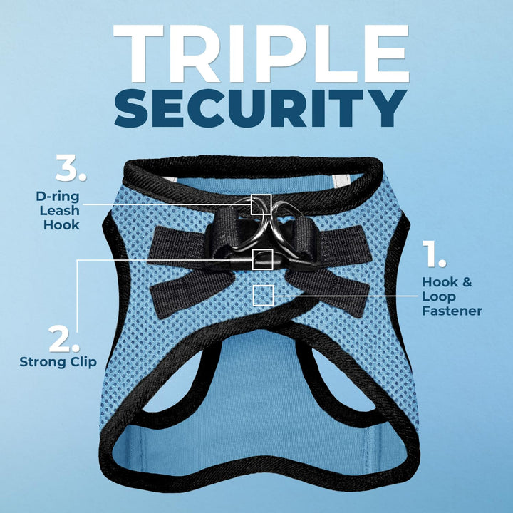 Voyager Step-In Air Dog Harness - All Weather Mesh Step in Vest Harness for Small and Medium Dogs by Best Pet Supplies - Baby Blue Base, M Harness (Baby Blue/Black Trim) M (Chest: 16 - 18")
