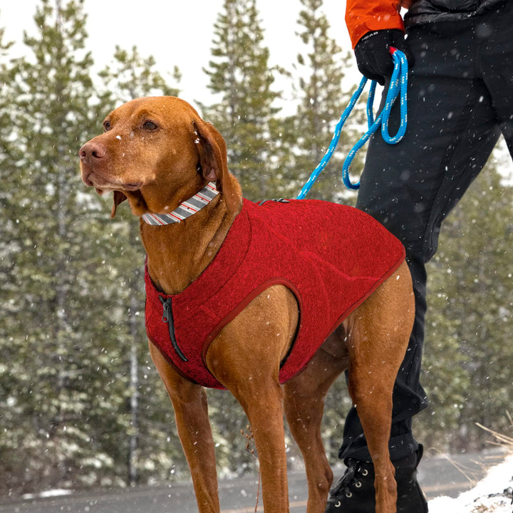 Kurgo Core Dog Sweater, Knit Dog Sweater With Fleece Lining, Cold Weather Pet Jacket, Zipper Opening for Harness, Adjustable Neck, Year-Round Sweater for Small Dogs (Heather Red, X-Small) Extra Small Heather Red
