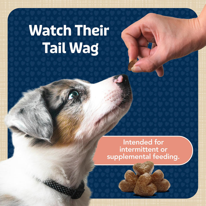 Blue Buffalo Bits Soft Dog Treats for Training, Made with Natural Ingredients & Enhanced with DHA, Savory Salmon Recipe, 4-oz. Bag 4 Ounce (Pack of 1)