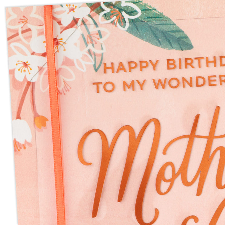 Hallmark Birthday Card for Mother In Law (Grateful for You) HGrateful for You