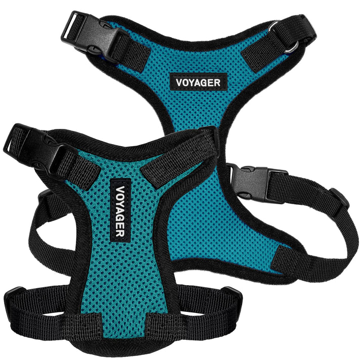 Voyager Step-in Lock Pet Harness - All Weather Mesh, Adjustable Step in Harness for Cats and Dogs by Best Pet Supplies - Turquoise/Black Trim, L Harness (Turquoise/Black Trim) L (Chest: 20 - 25")