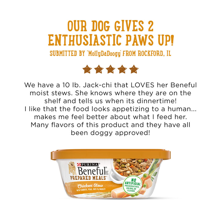 Beneful IncrediBites Grilled Chicken Flavor and Filet Mignon Flavor Wet Food for Small Dogs Variety Pack - 3.5 Ounce (Pack of 12) 3.5 Ounce (Pack of 12)