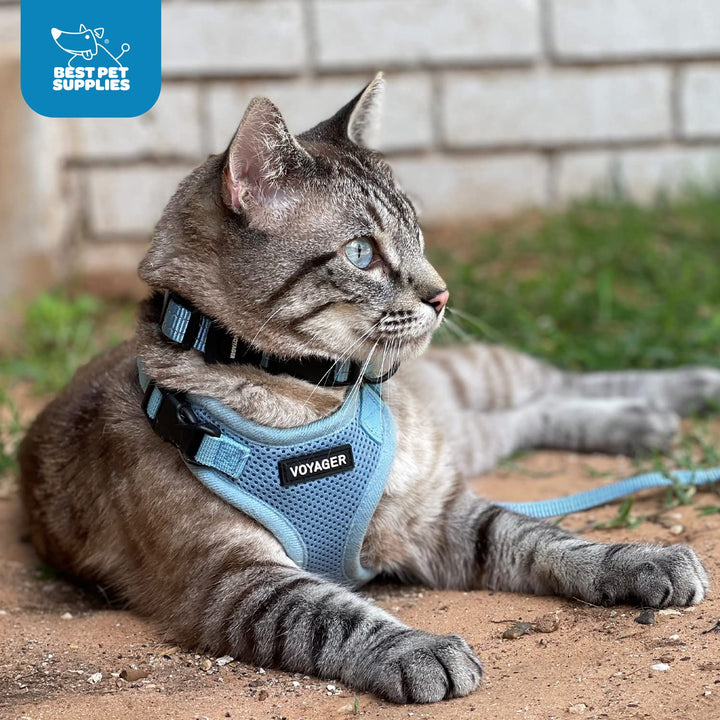 Voyager Step-in Lock Dog Harness w Reflective Dog Leash Combo Set with Neoprene Handle 5ft - Supports Small, Medium and Large Breed Puppies/Cats by Best Pet Supplies - Turquoise, XS Harness Leash Set (Turquoise) XS (Chest: 13 - 16" * Fit Cats)