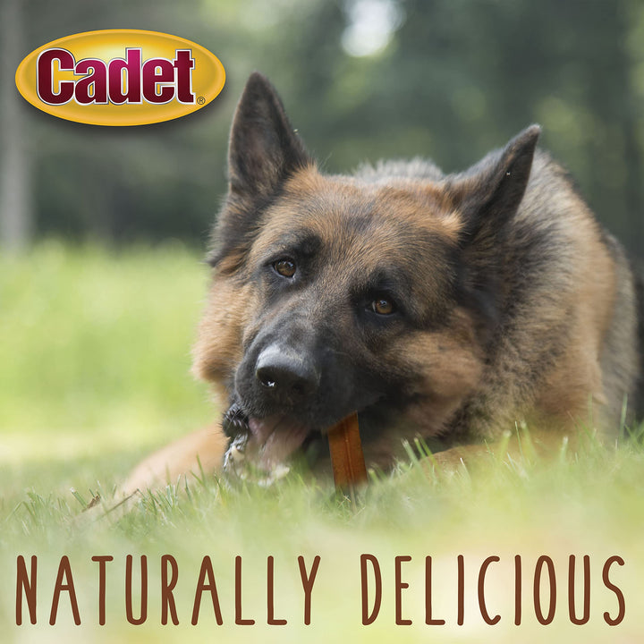 Cadet Extra-Thick Bully Sticks for Dogs - All-Natural, Long-Lasting Dog Chews - Bully Sticks for Small, Medium, and Large Dogs - Dog Treats for Aggressive Chewers, X-Thick X-Large (2 ct.) Extra-Thick Large 2 Count