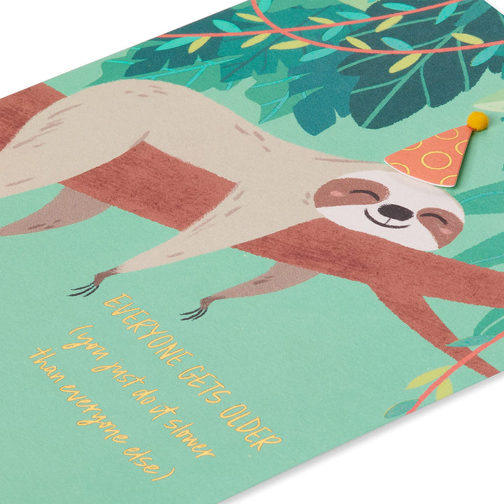 Papyrus Funny Birthday Card (Much Slower) Sloth