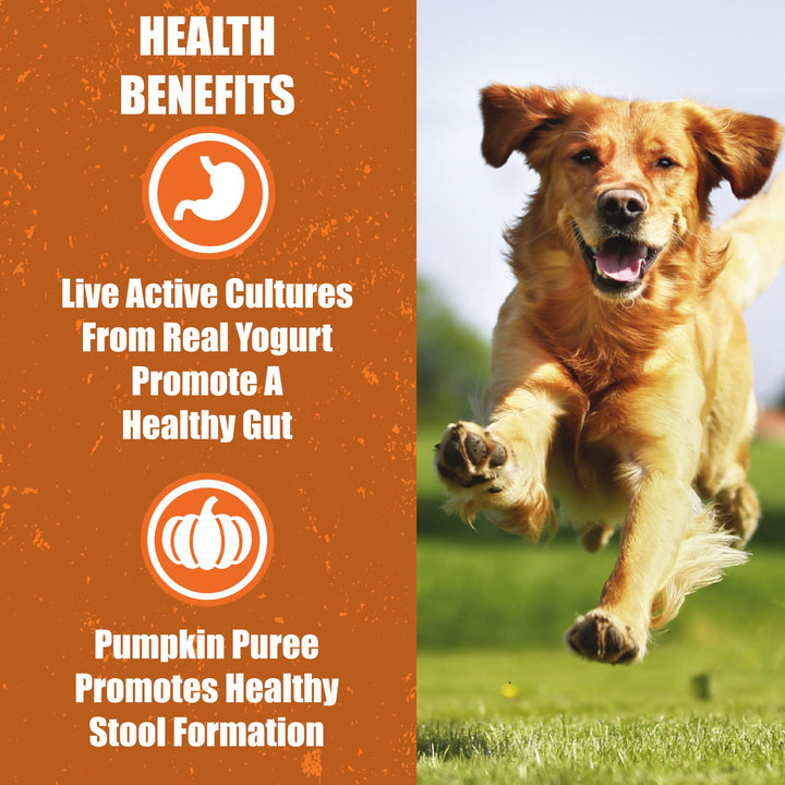 Whole Life Pet Human Grade Probiotic Dog Treats - Pumpkin & Yogurt – Easy Digestion, Firmer Stool, Sensitive Stomachs - Made in The USA 12oz