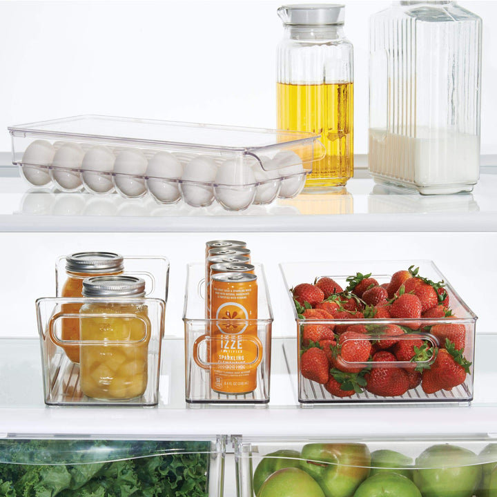 iDesign Plastic Egg Holder for Refrigerator with Handle and Lid, Fridge Storage Organizer for Kitchen, Set of 1, Clear