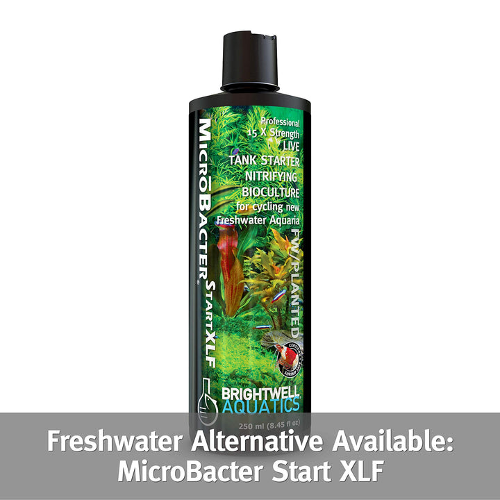 Brightwell Aquatics MicroBacter Start XLM  Live Bacteria Tank Starter Rapidly Establishes Biological Filtration in New Marine & Reef Aquariums 125-ML