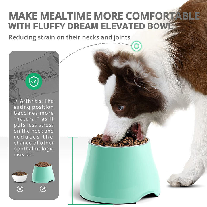 Fluffydream Elevated Dog Bowls,[Prevention of Vertebrae Disease] Non-Slip Dog Bowl with Stainless Steel Bowl,High Capacity Dog Food Bowls,Colorful Raised Dog Bowls for Medium/Small Size Dogs M (540ML / 2 Cups) MintGreen